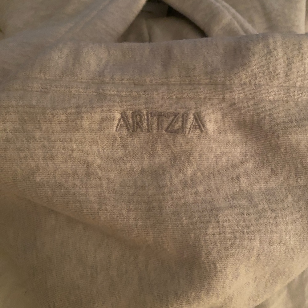 Aritzia Light Gray Sweatshirt